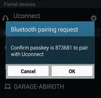 Jeep Cherokee. Multimedia